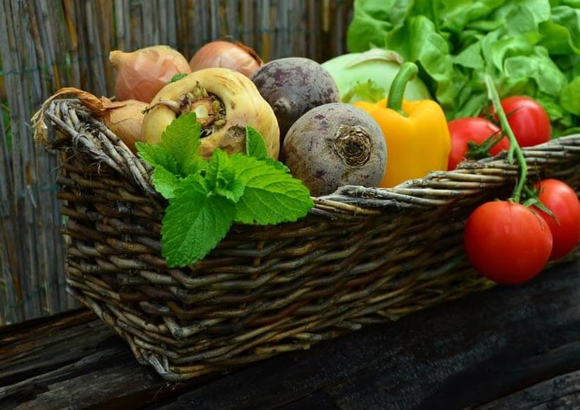 home_vegetables_company7